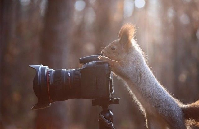 photographers15_e