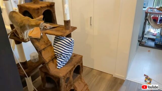 20230110_085508_batch