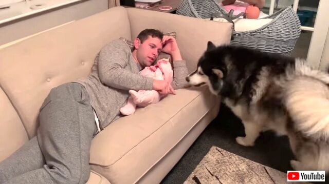 familynaptime5_640