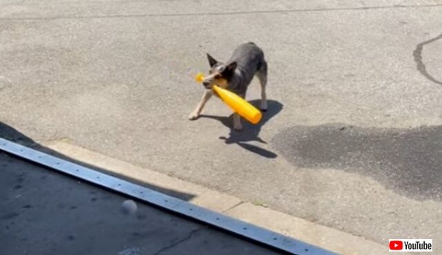 20220522_045717 (2)_batch