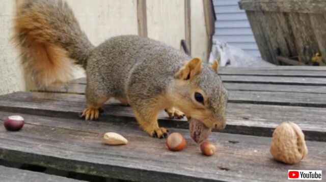 20231215_075959 (7)_batch