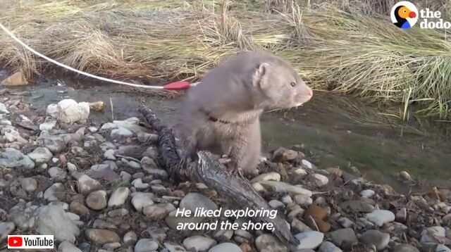 20220602_194226 (6)_batch