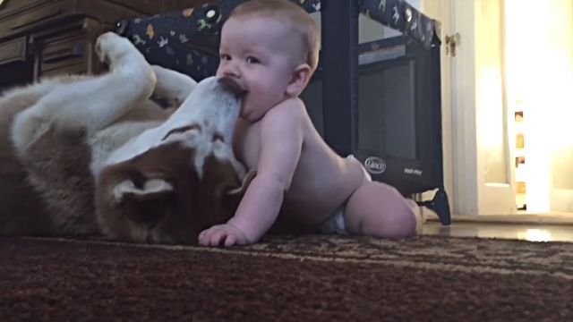 babyndog4