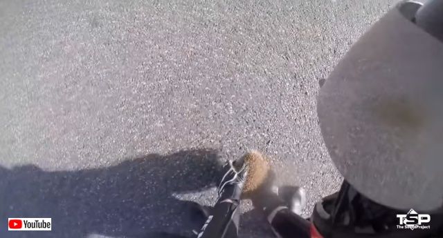 bikershelpinganimals6_batch