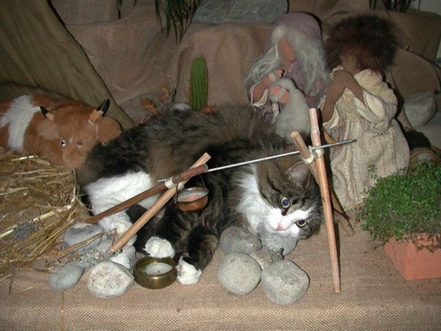 cats-crashing-nativity-scenes-102-5a27c49c6b90d__605_e