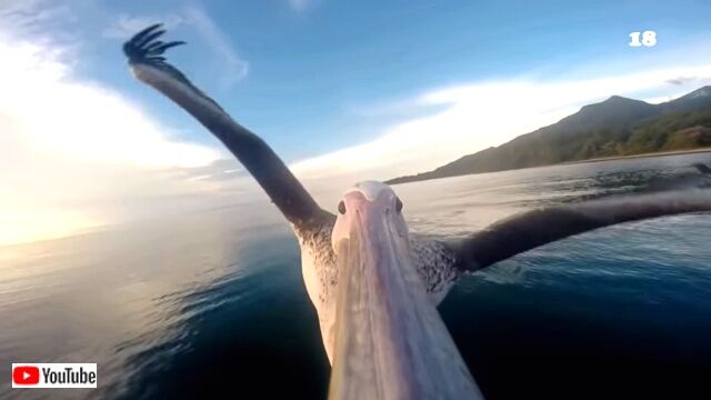 goprobests6_640