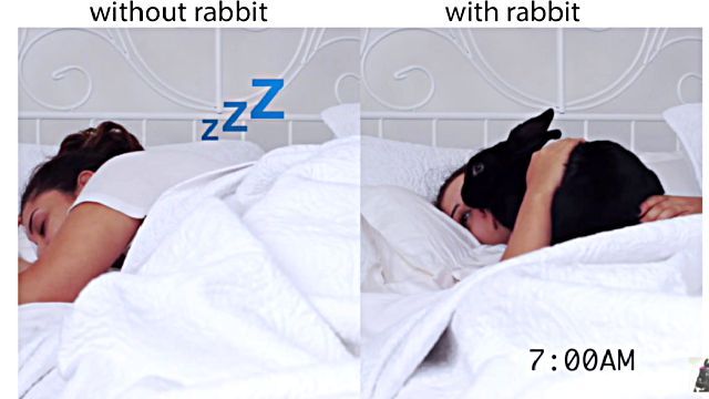 lifewithrabbit1