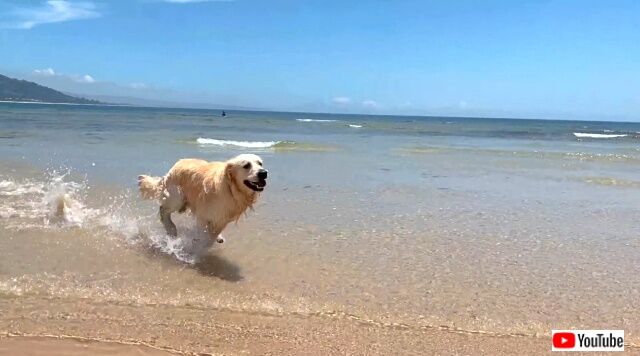 baileyonthebeach5_640