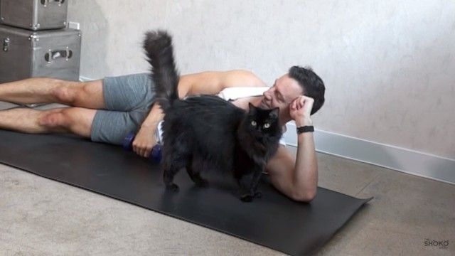 catsnexercise7_e