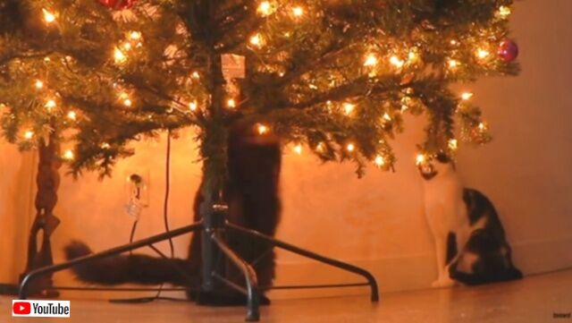 20231223_114943 (3)_batch