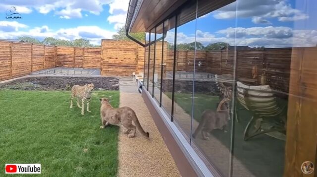 20220524_081143 (4)_batch