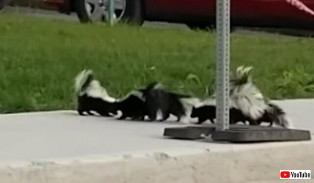 20220509_114912 (6)_batch