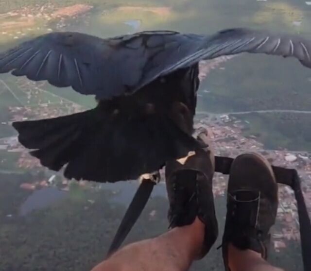 20220608_111904 (7)_batch