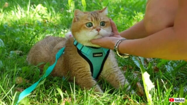 20230809_080644_batch