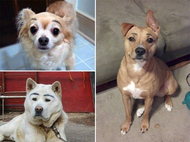eyebrows6_e