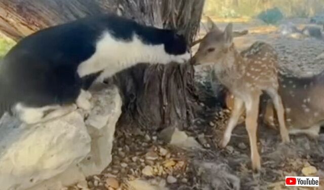 20230307_110928 (3)_batch