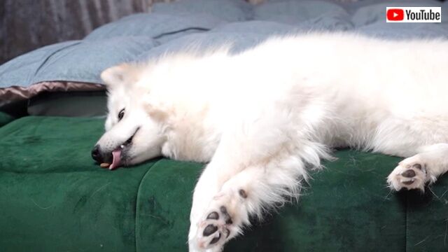 milkyboki6_640