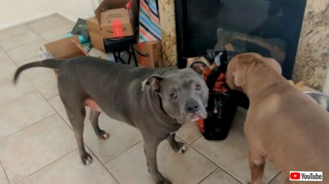 20231220_115932 (2)_batch