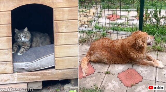 20221213_194124_batch