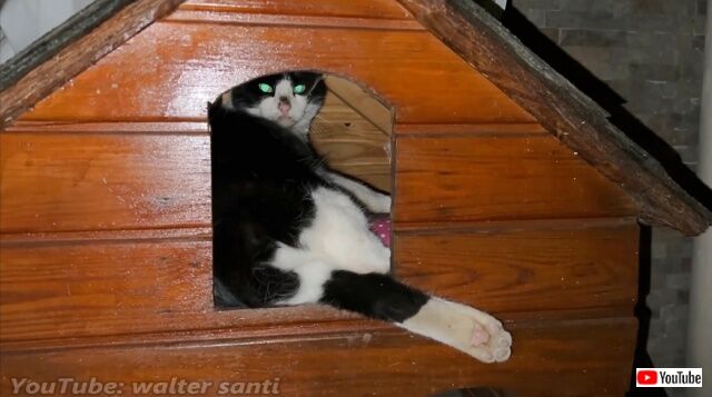 20221213_193926 (9)_batch