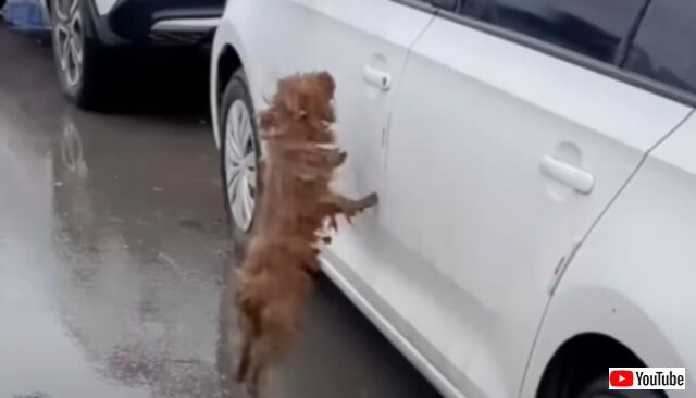 20240325_101612_batch