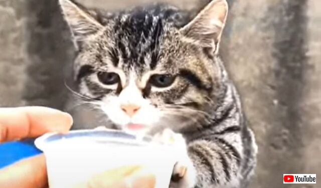 2022-09-23 18 45 04 (3)_640