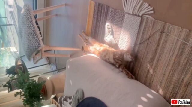 20230918_201536 (3)_batch