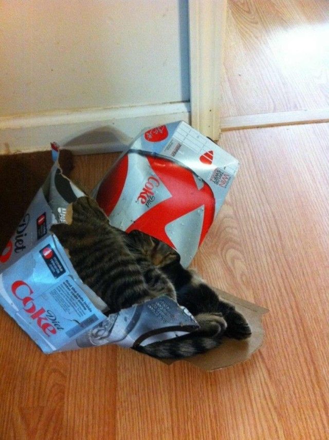 toobig4box6_e