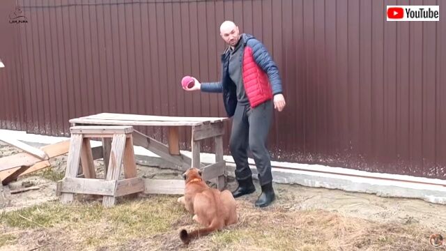messinball0_640