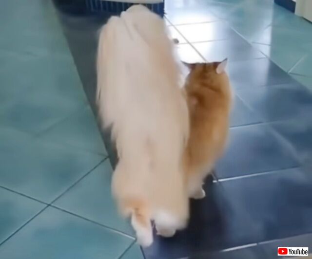 20230928_055158 (4)_batch