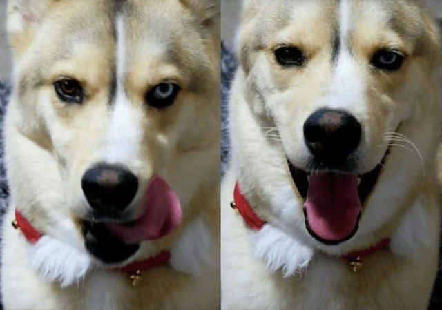 goodboy12_e