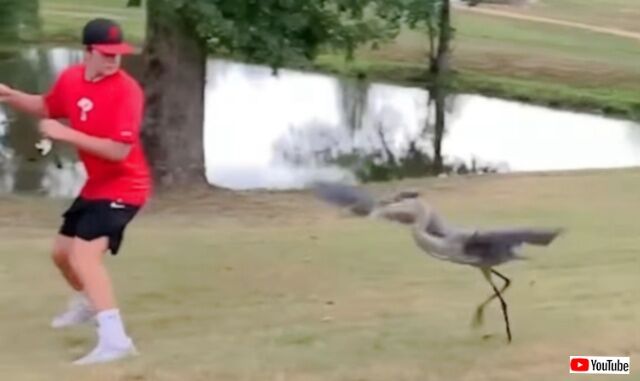 20230831_210349_batch