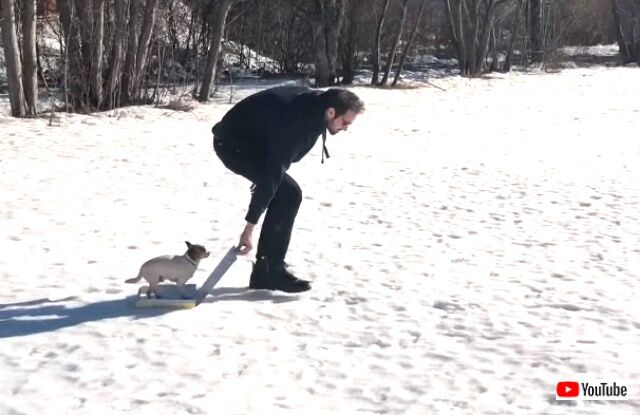 sledding2_640