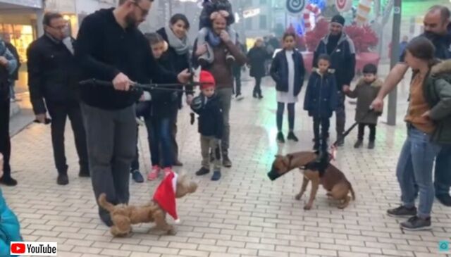 20230726_080408_batch