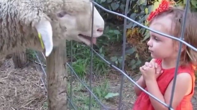 funnyanimalsnkids9_e