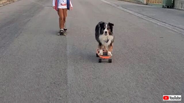 skateboarding3_640