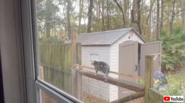 20231229_070459_batch