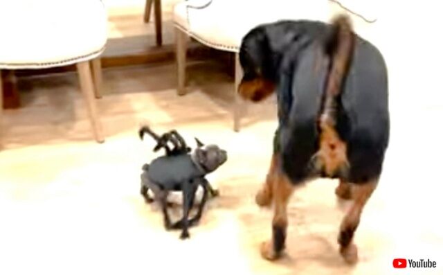 20221003_010805_batch