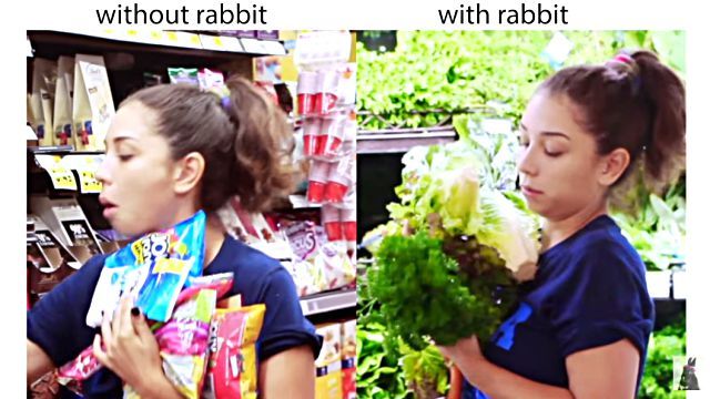 lifewithrabbit9