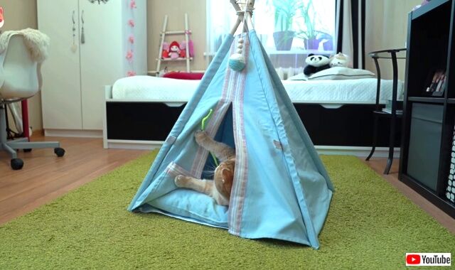 tent5_640