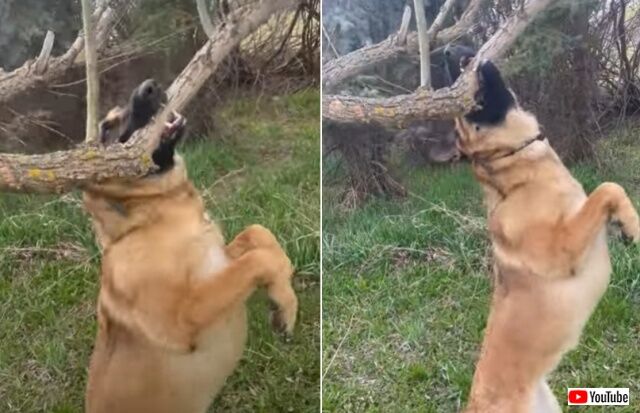 20220517_065548 (3)_batch