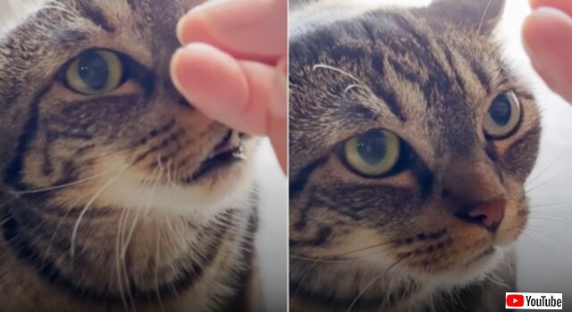 20240108_115927_batch