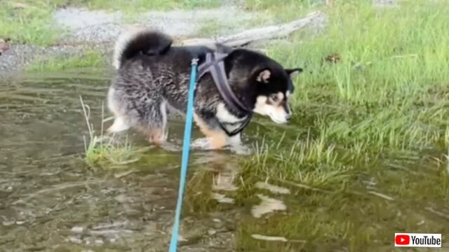 20230903_005256 (4)_batch