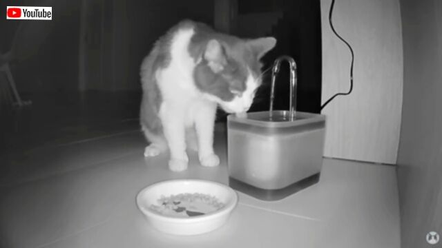 20230821_195300 (13)_batch