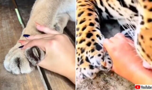 20240104_115108 (3)_batch