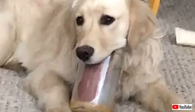 20220706_115622_batch