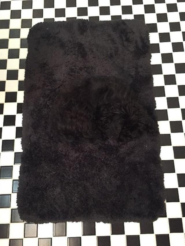 9black ok