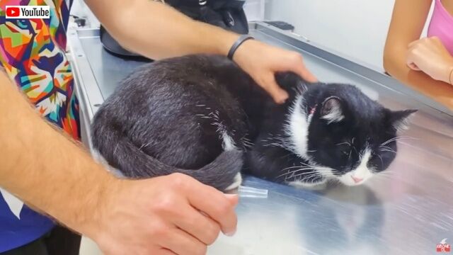 20220817_200403 (5)_batch