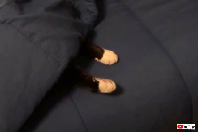 20231018_061445 (3)_batch