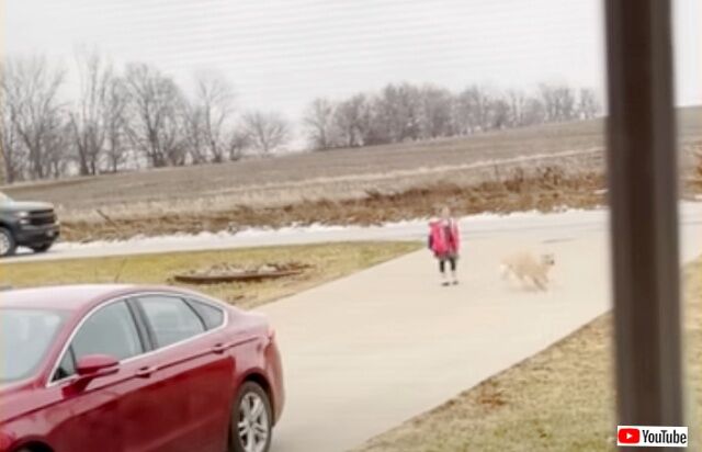 20230316_183320_batch